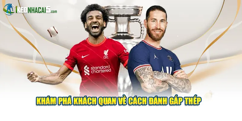 Khám phá khách quan về cách đánh gấp thếp