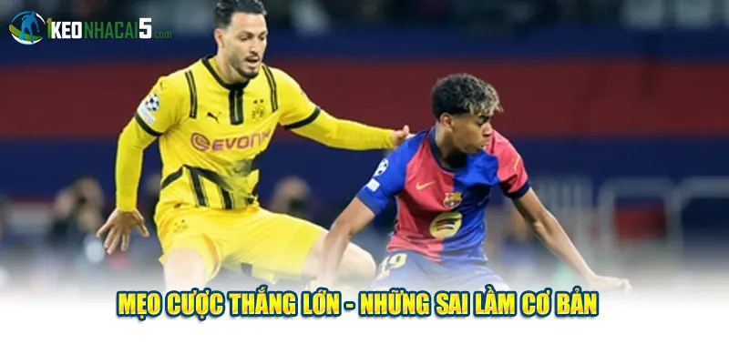 Mẹo cược thắng lớn - Những sai lầm cơ bản